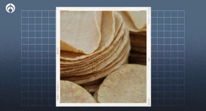 Tortillas pirata: el truco para saber si tu tortillería las vende; tienen este color y sabor