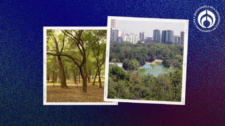 Chapultepec se pone raro: esta es la lista de cosas que ya no podrás hacer