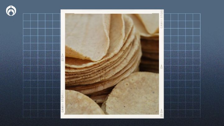 Tortillas pirata: el truco para saber si tu tortillería las vende; tienen este color y sabor