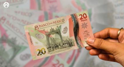 Pagan hasta 380 mil pesos por un billete de 20 de la serie AA; características