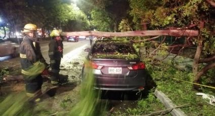 Intensa tormenta dejó árboles caídos, desbordamientos e inundaciones en Jalisco