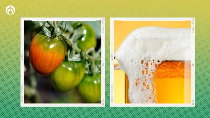 La forma correcta de aplicar cerveza a tus plantas para que crezcan, den más frutos y atraigan abejas