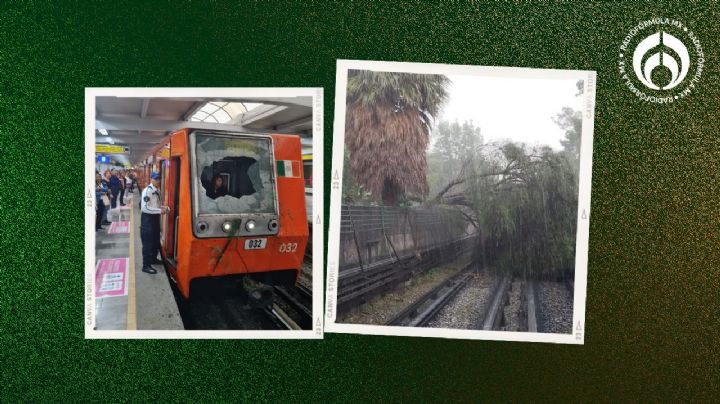 Línea 5 del Metro CDMX: reanuda servicio tras suspensión de 4 horas por caída de árbol