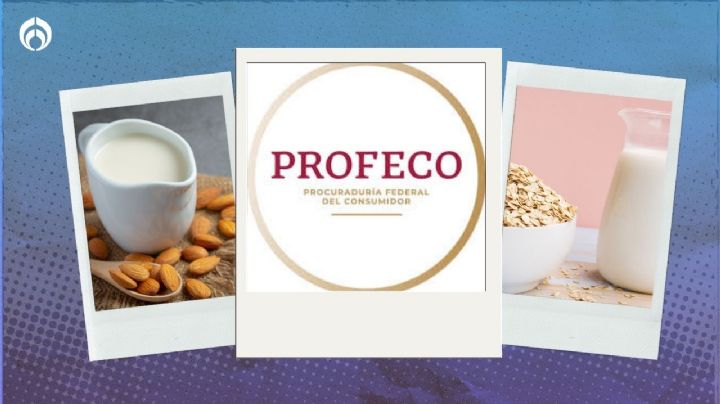 Leches vegetales: almendra, soya o avena ¿cuál tiene más proteína y calcio según Profeco?