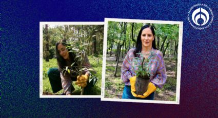 Lía Limón lidera cuarta jornada de reforestación en el parque ecológico 'Las Águilas'