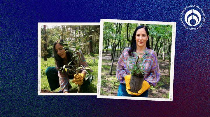 Lía Limón lidera cuarta jornada de reforestación en el parque ecológico 'Las Águilas'