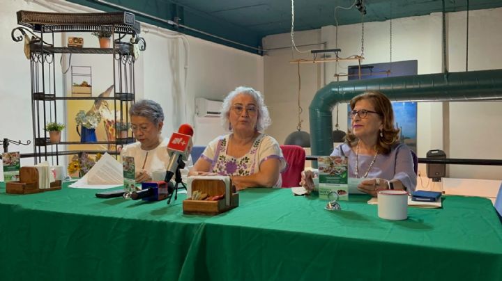 La primera legislatura de mujeres nos quedó a deber: Observatoria Feminista de Sonora