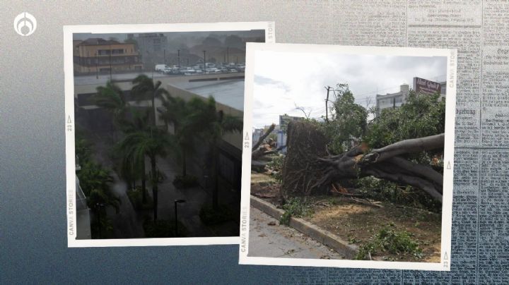 Huracán Beryl EN VIVO: impactará HOY en la madrugada en QRoo como categoría 3