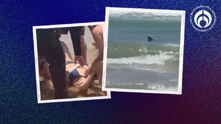 (VIDEO) Ataques de tiburón en Texas: al menos 4 personas fueron mordidas en Isla del Padre