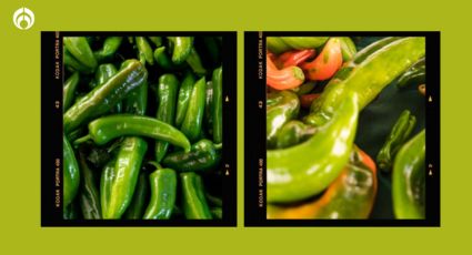 Cómo cultivar tus propios chiles serranos: así podrás tener siempre para las salsas caseras