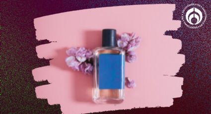 ¿Vas a comprar tu primer perfume? te explicamos qué son las notas y familias olfativas