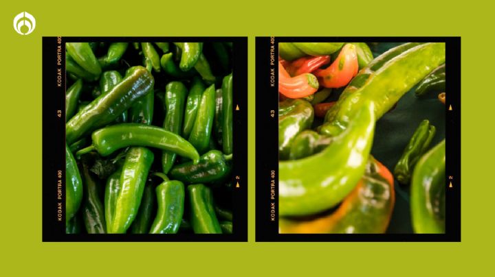 Cómo cultivar tus propios chiles serranos: así podrás tener siempre para las salsas caseras