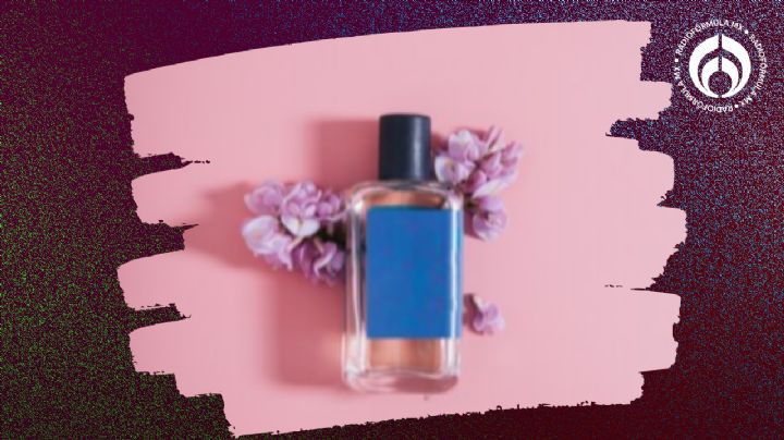 ¿Vas a comprar tu primer perfume? te explicamos qué son las notas y familias olfativas