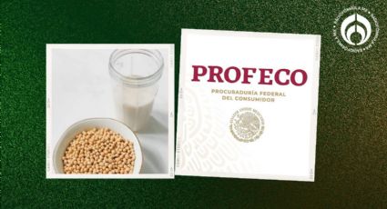 ¿'Leche' de soya? Esta es la única bebida aprobada por Profeco