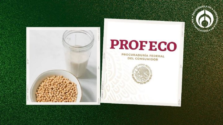 ¿'Leche' de soya? Esta es la única bebida aprobada por Profeco