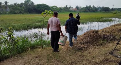 Regresa la vida a Tarimoya: laguna recupera su nivel; vecinos depositan mojarras y tortugas