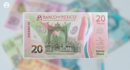 Pagan hasta un millón por el billete de 20 pesos con un número de serie palíndromo