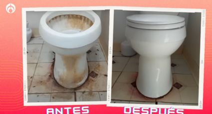 Truco con un ingrediente para que la base del sanitario no huela a orines