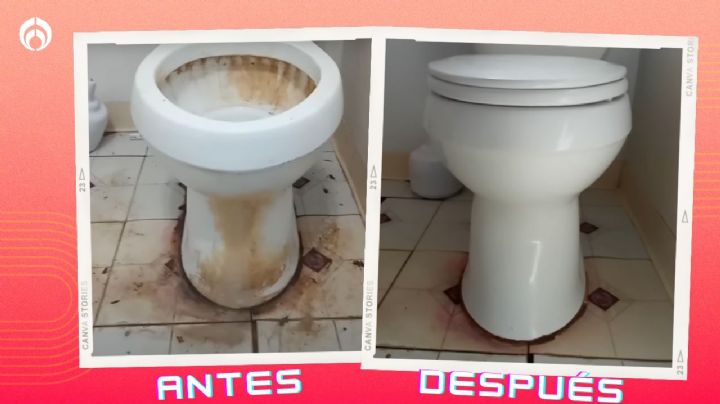 Truco con un ingrediente para que la base del sanitario no huela a orines