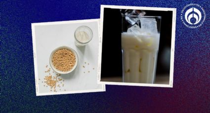 Esta es la mejor 'leche' sabor soya con aprobación de Profeco