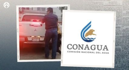 Conagua condena maltrato en caso de seis perritos ahorcados; 'fue empresa contratada', dice