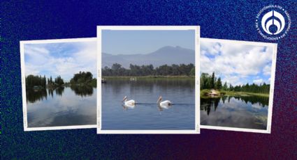 El Lago de los Reyes Aztecas, patrimonio cultural en Tláhuac ¿lo conoces?