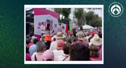 Marea Rosa llega al INE: protestan contra sobrerrepresentación de la 4T