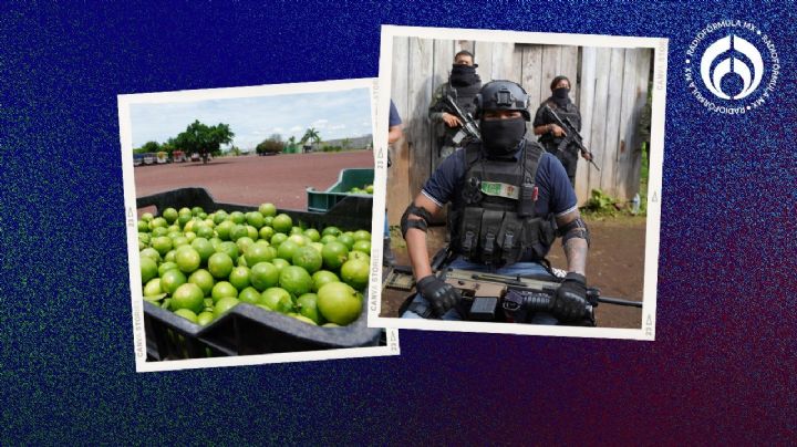 Vuelve la guerra del limón: esto esta pasando por el narco… ¿subirán los precios?