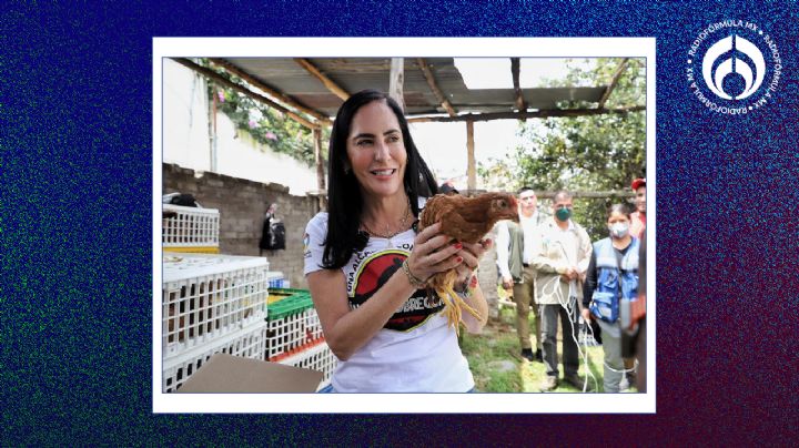 ÁO, una alcaldía 'con muchos huevos': Lía Limón al entregar a colonos gallinas ponedoras