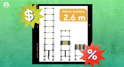 Escalera telescópica de 2.6 m resistente y segura: ¡No te pierdas la rebaja en Walmart!