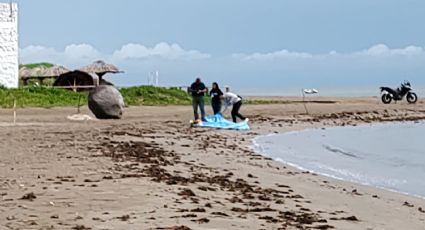 Tragedia en Boca del Río: yogui y trabajadora de Pemex se ahoga en playa Pelícanos