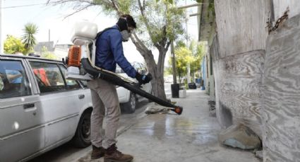 Arrancan fumigación intensiva contra garrapatas en Escobedo NL