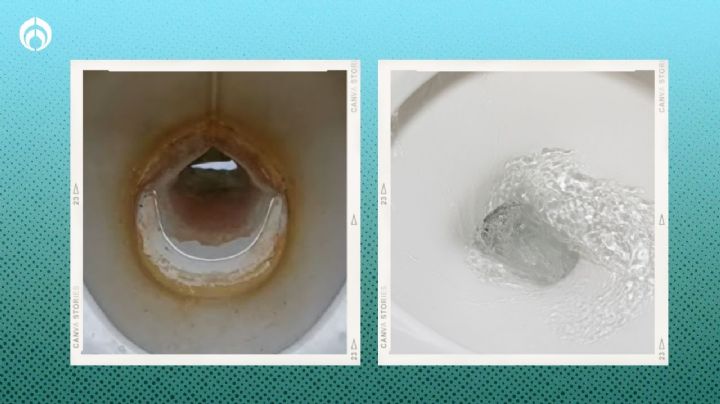 Trucazos de limpieza para evitar usar cloro en el baño y quitar manchas de sarro y cal