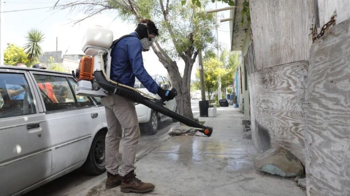 Arrancan fumigación intensiva contra garrapatas en Escobedo NL