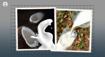 La 'leche' de coco con vitaminas A y D que recomienda Profeco