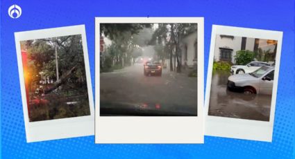 (VIDEOS) CDMX 'bajo el agua': hay inundaciones, caída de árboles y ¡Metro lento!