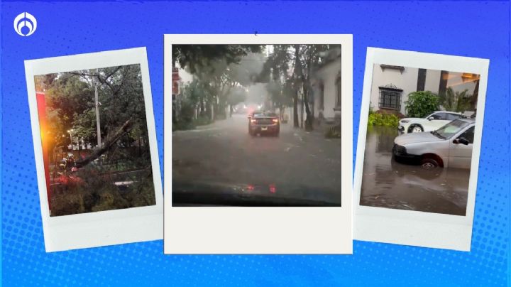 (VIDEOS) CDMX 'bajo el agua': hay inundaciones, caída de árboles y ¡Metro lento!