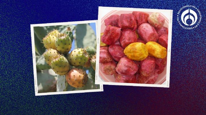 ¿Las tunas ayudan a ir al baño? Mitos y realidades de la fruta