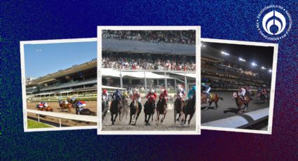 Carreras de Caballos, tragos refrescantes y pura emoción en el Hipódromo de las Américas