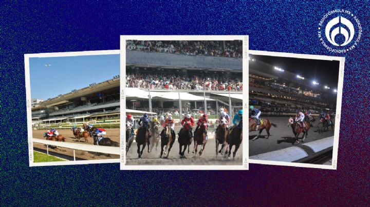 Carreras de Caballos, tragos refrescantes y pura emoción en el Hipódromo de las Américas