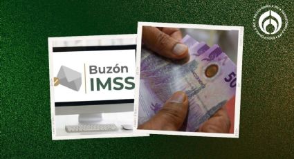 Pensión IMSS 2024: ¿Si no activas el Buzón IMSS tendrás problemas con tus pagos?