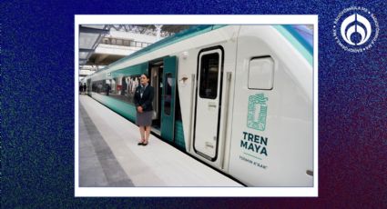 Tren Maya: ¿cuántos pasajeros mexicanos y extranjeros ha trasladado?