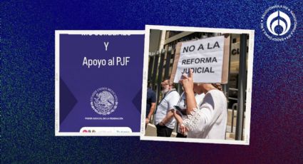 Reforma judicial: usuarios de Instagram arman campaña contra elección de jueces y magistrados