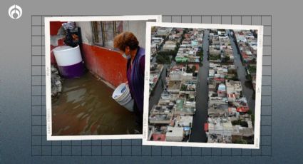 Inundaciones en Chalco: llenan refugios ante plaga de larvas, ¿ya bajó el agua?