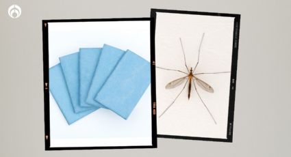 Temporada de mosquitos: 'laminitas' para alejarlos del hogar con rebaja en Walmart