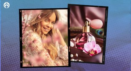 Estos perfumes duran muchísimo, cuestan menos de 600 pesos y huelen a cítricos y flores