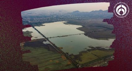 Así era el lago de Chalco antes de que Salinas lo convirtiera en ciudad