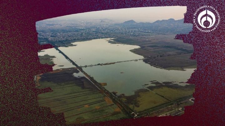 Así era el lago de Chalco antes de que Salinas lo convirtiera en ciudad