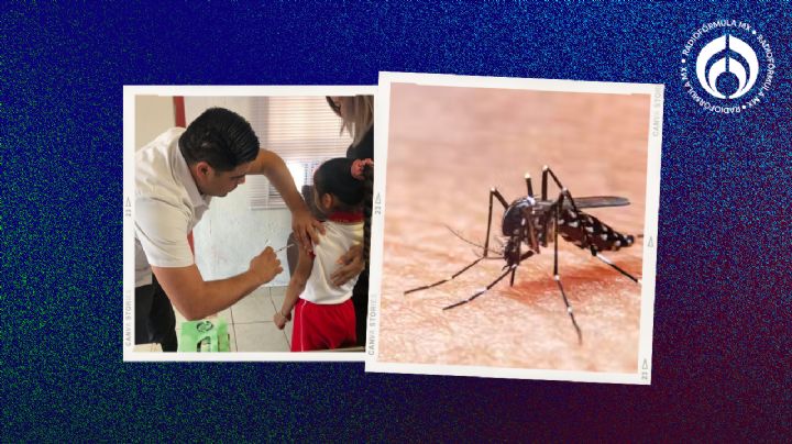 Tamaulipas en alerta por dengue: refuerzan medidas para prevenir brotes