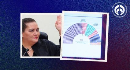 INE ratifica transparencia en conformación de Congreso: Taddei sostiene apego a la ley en reparto